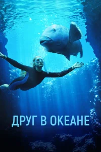 <h1>Друг в океане</h1>