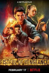 <h1>Кулаки возмездия</h1>