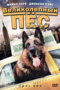 <h1>Великолепный пес</h1>