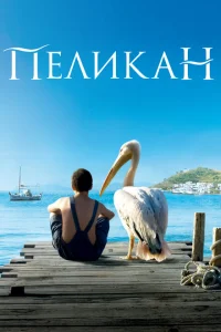 <h1>Пеликан</h1>