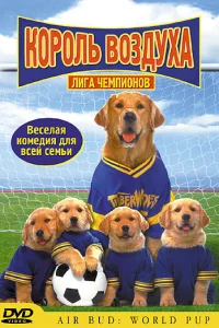 <h1>Король воздуха: Лига чемпионов</h1>