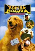 <h1>Король воздуха: Седьмая подача</h1>