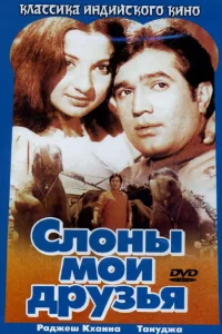 <h1>Fillər mənim dostumdur</h1>