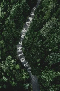 <h1>Обычные дни</h1>