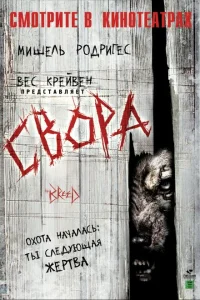 <h1>Свора</h1>