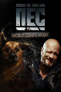 <h1>Новогодний пёс</h1>