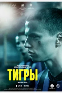 <h1>Тигры </h1>