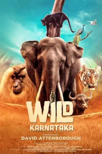 <h1>Дикая Карнатака</h1>