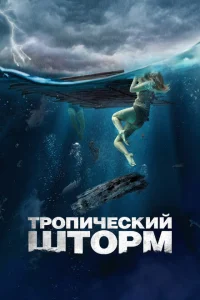 <h1>Рекуин</h1>