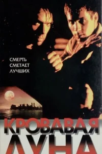 <h1>Кровавая луна</h1>