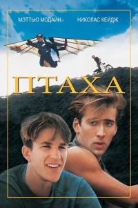 <h1>Птаха</h1>