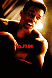 <h1>Али</h1>
