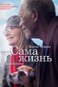 <h1>Сама жизнь</h1>