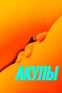 <h1>Акулы</h1>