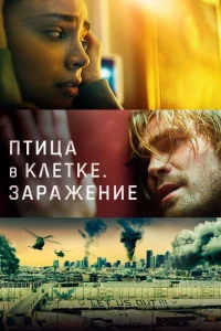 <h1>Птица в клетке. Заражение</h1>