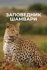 <h1>Заповедник Шамвари</h1>